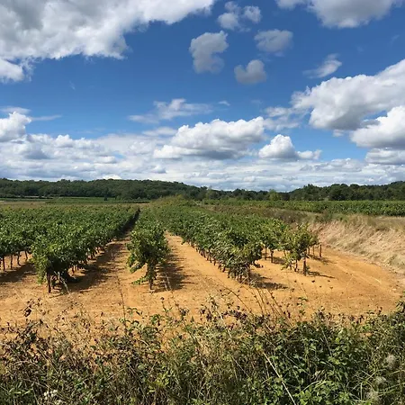 Bed and breakfast La Maison Blanche Uzes 3*